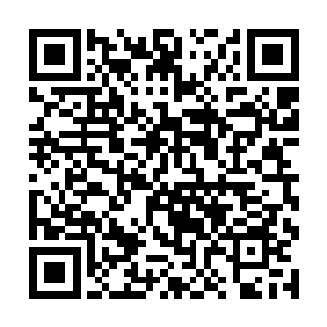 江逸一眼就看到了那触手怪兽身体内的一枚绿色珠子二维码生成