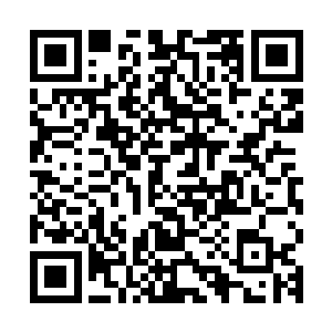 江逸不牺牲妖狼他就没办法把那些飞蚁全部聚集在一起集中击杀二维码生成