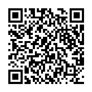 江逸在棘阳部落北面的山脉内见到过很多次这种药草二维码生成