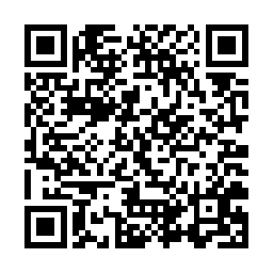 江逸手上一本厚厚的书籍就记录着几百万种特殊文字二维码生成