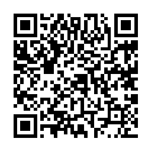 江逸敏锐的听觉听到前方一片小丛林内传来一阵轻微的声音二维码生成