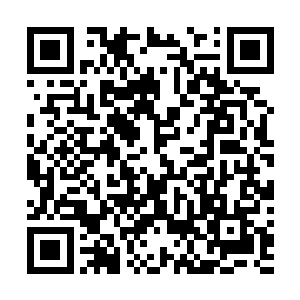 江逸看到木棍在击中黑豹时上面有一道流光闪过暗暗惊奇二维码生成