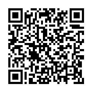 江逸等人变得了一只只浑身都是天石的人形宝妖二维码生成