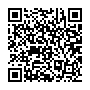 江逸被古藤团团束缚朝最中心的一团闪耀着淡淡绿光的气团靠去二维码生成