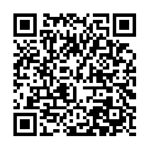 江逸都不知道怎么和衣禅苏若雪尹若冰等人解释……二维码生成