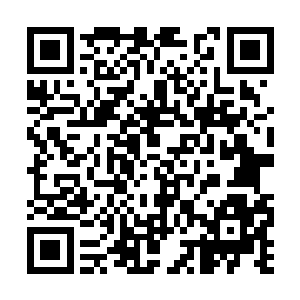 江逸释放了冰之源轻松把追来的铁甲魔狼给封印了二维码生成