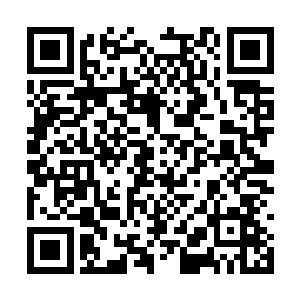 江雪看到了叶凡用他那咪咪的眼睛不断地看着自己二维码生成