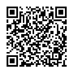 江龙潭的手掌轻轻地抚摸着屁股下面的厚实红毯二维码生成