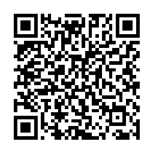 池佳一体内本来单薄的虚之力此时宛如浩瀚大海一般二维码生成