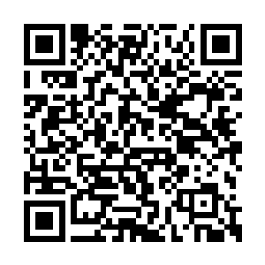 池佳一开始怀疑身后的家伙是不是也和自己一样二维码生成