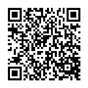 池佳一没想到这次竟然传送到了这么一个荒郊野外二维码生成