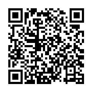 池佳一看到的则是更具体也更符合他的世界观的规则二维码生成