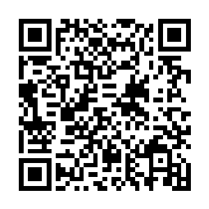池佳一轻而易举的挥手之间灭杀了四个虚境大成的强者二维码生成