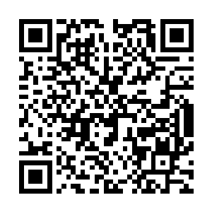 池早早隐藏的那股怨恨又无比清晰地呈现在她那红肿的脸上二维码生成