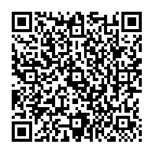 池水是淡黄色的很浑浊池子里飘满了碎发和脱落的皮肤飘出的味道带着腐肉的腥臭味二维码生成