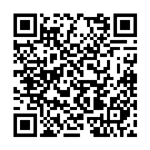 汤圆脸上骄傲的模样跟她爹活脱一个模子刻出来的二维码生成