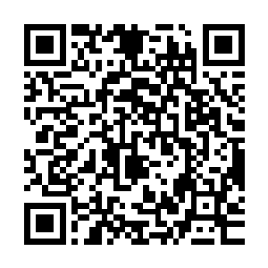 汪念林的父亲并不认为自己安排的这二十人会拿不下这个臭小子二维码生成