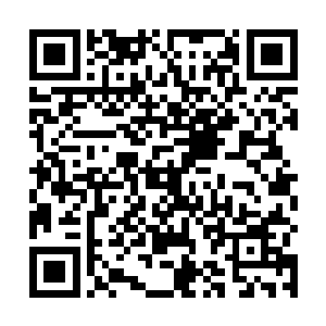 汪明浩本来是来和司南下商量接待省纪委书记李铁刚的二维码生成