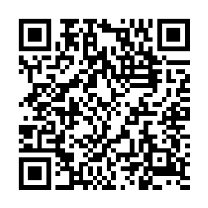 汪逹朋在骨器店老板昏厥之后把骨器店老板拖入柜台里面二维码生成