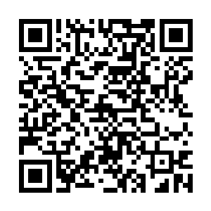 汪逹朋说为表扬汪大锤和杰西这段时间的勤加修炼二维码生成