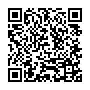汽车生活馆里面的楚征和邓飞等人正在给各位下线分货呢二维码生成
