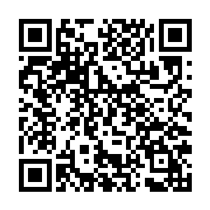 沃伦量贩四海分店的装修工程在火灾事故前已经结束二维码生成