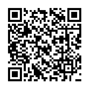 沃尔特看着墙上悬挂的两名手持ak的人形怪兽的海报二维码生成