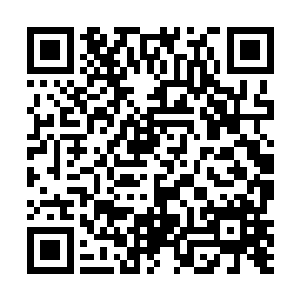 沈东峰没有料到侯卫东计划将如此重要的工作交给自己二维码生成