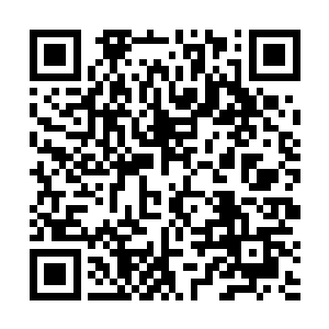 沈丽缇一边用毛巾擦着自己的长发一边从里面走了出来二维码生成