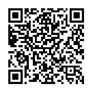 沈丽缇和杜海琼看着乃蒙他把小坂大雄等人横扫了一地之后二维码生成