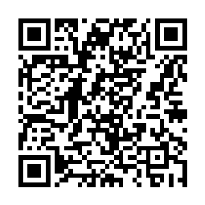 沈丽缇和杜海琼看着那个夏大少的脸又变回了夏云杰二维码生成