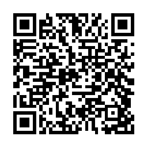 沈丽缇和杜海琼虽然知道自己的男人依旧还活着二维码生成