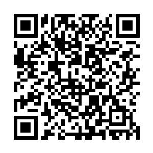 沈丽缇感到自己内心某根弦似乎被什么东西轻轻触动了一下二维码生成