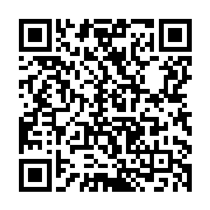 沈丽缇这还是第一次看到两个猥亵男这般狼狈的样子二维码生成