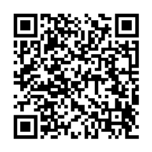 沈冰聪明就聪明在她和花悠悠的关系一直都很不错二维码生成