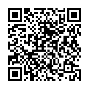 沈凡以至刚至阳元力催动的浮云掌如同火钳紧紧的箍住了它二维码生成