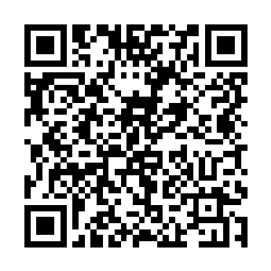 沈凡呆若木鸡的望着已经消失了混沌壁障中的赵敏姬二维码生成