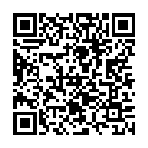 沈凡定睛一发现这小貂居然拥有纯阳境初期的修为二维码生成