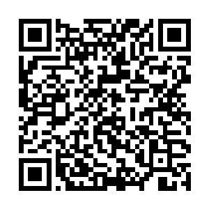 沈凡就发现小白狐与众不同的能力――嗅觉异常灵敏二维码生成