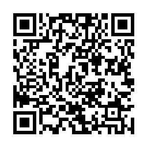 沈凡携手朱倩花三人一同来到青雀城最出名的酒楼二维码生成