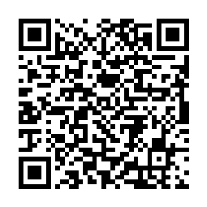 沈凡有了小血作为本命之物又有地狱刀是共生的关系二维码生成