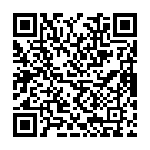 沈凡的血液之中蕴含强大的是生机之力和不灭之力二维码生成