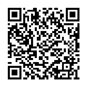 沈凡的黄风甲和黄飞的防御都是徒然施展出来了二维码生成