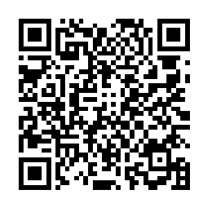 沈凡盯着混沌不灭真炎将一头孔雀鸟燃烧化作灰烬之后二维码生成