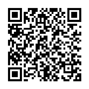 沈凡需要他们将凤凰族的顶尖秘法大概有什么用给介绍了一下二维码生成