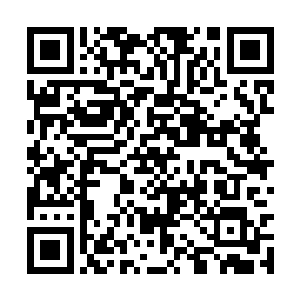 沈千寻也能感受到来自四面八方羡慕嫉妒恨的目光二维码生成