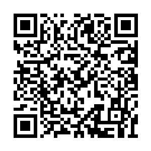 沈千碧一张粉雕玉琢的脸儿立时变得像块生猪肝二维码生成