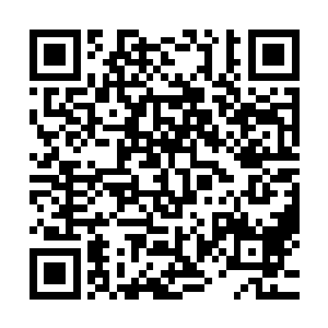 沈喜臻共进晚餐之外就只是象征性地聊了一点关于政治上的事二维码生成