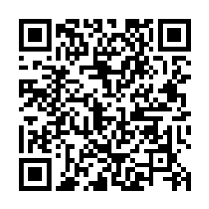 沈喜臻在检查完公路建设的事后便直接进宫来见光昭帝二维码生成