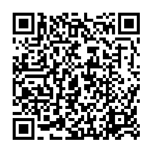 沈夫人只得将自己的打算与刚才在南王妃屋里杜薇的反应跟他说了一遍二维码生成